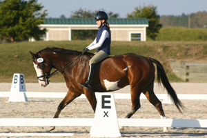Juniors Show